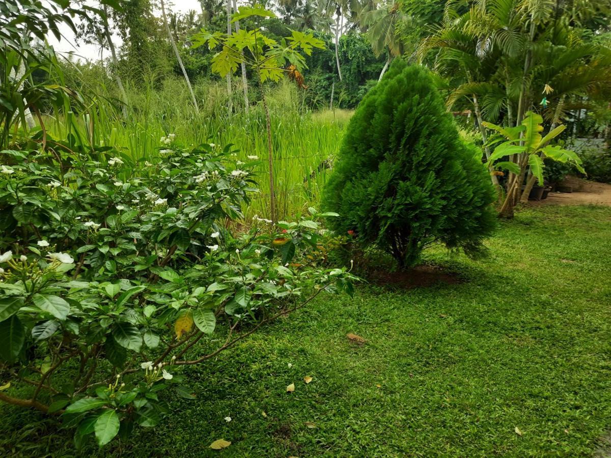 Hansa Villa Hikkaduwa Exterior photo